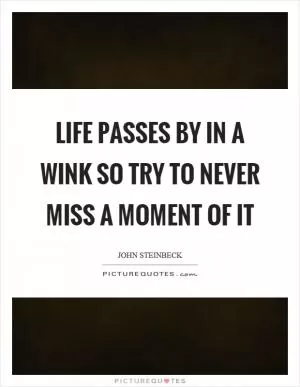 Life passes by in a wink so try to never miss a moment of it Picture Quote #1