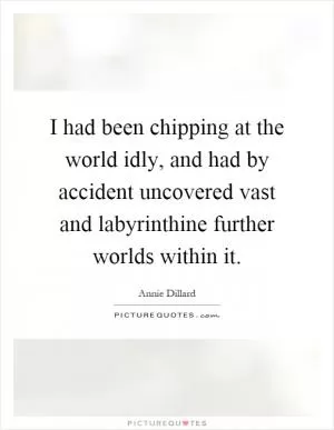 I had been chipping at the world idly, and had by accident uncovered vast and labyrinthine further worlds within it Picture Quote #1