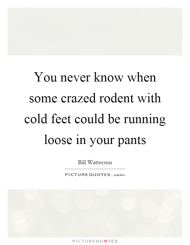 You never know when some crazed rodent with cold feet could be running loose in your pants Picture Quote #1