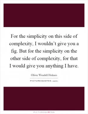 For the simplicity on this side of complexity, I wouldn’t give you a fig. But for the simplicity on the other side of complexity, for that I would give you anything I have Picture Quote #1