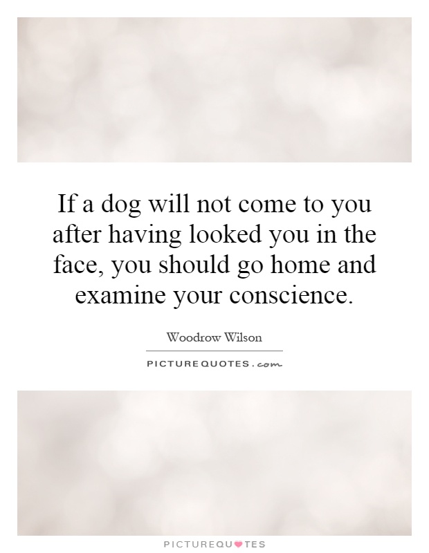 If a dog will not come to you after having looked you in the face, you should go home and examine your conscience Picture Quote #1