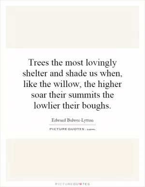 Trees the most lovingly shelter and shade us when, like the willow, the higher soar their summits the lowlier their boughs Picture Quote #1