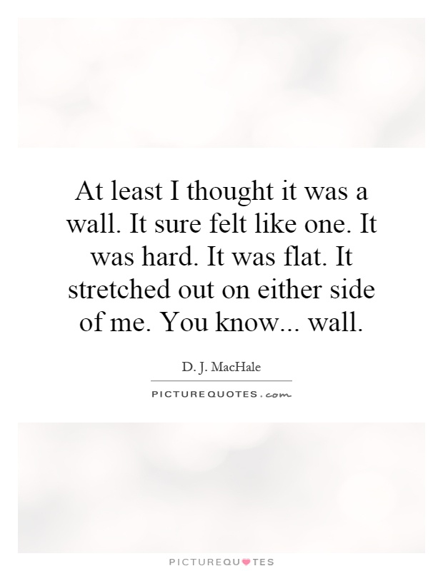 At least I thought it was a wall. It sure felt like one. It was hard. It was flat. It stretched out on either side of me. You know... wall Picture Quote #1