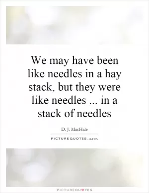 We may have been like needles in a hay stack, but they were like needles... in a stack of needles Picture Quote #1