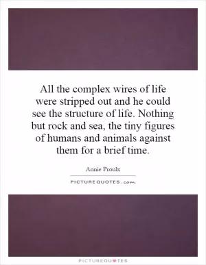 All the complex wires of life were stripped out and he could see the structure of life. Nothing but rock and sea, the tiny figures of humans and animals against them for a brief time Picture Quote #1