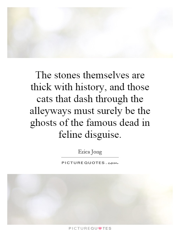 The stones themselves are thick with history, and those cats that dash through the alleyways must surely be the ghosts of the famous dead in feline disguise Picture Quote #1