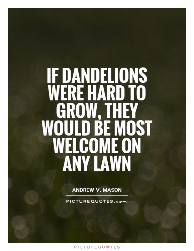 If dandelions were hard to grow, they would be most welcome on any lawn Picture Quote #1
