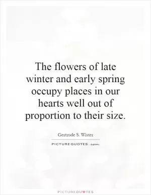 The flowers of late winter and early spring occupy places in our hearts well out of proportion to their size Picture Quote #1