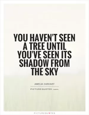 You haven't seen a tree until you've seen its shadow from the sky Picture Quote #1