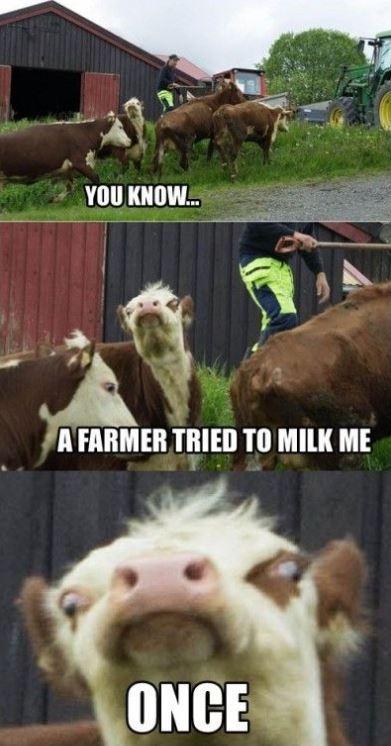 You know... a farmer tried to milk me. Once Picture Quote #1