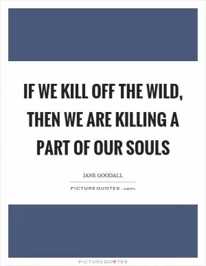 If we kill off the wild, then we are killing a part of our souls Picture Quote #1