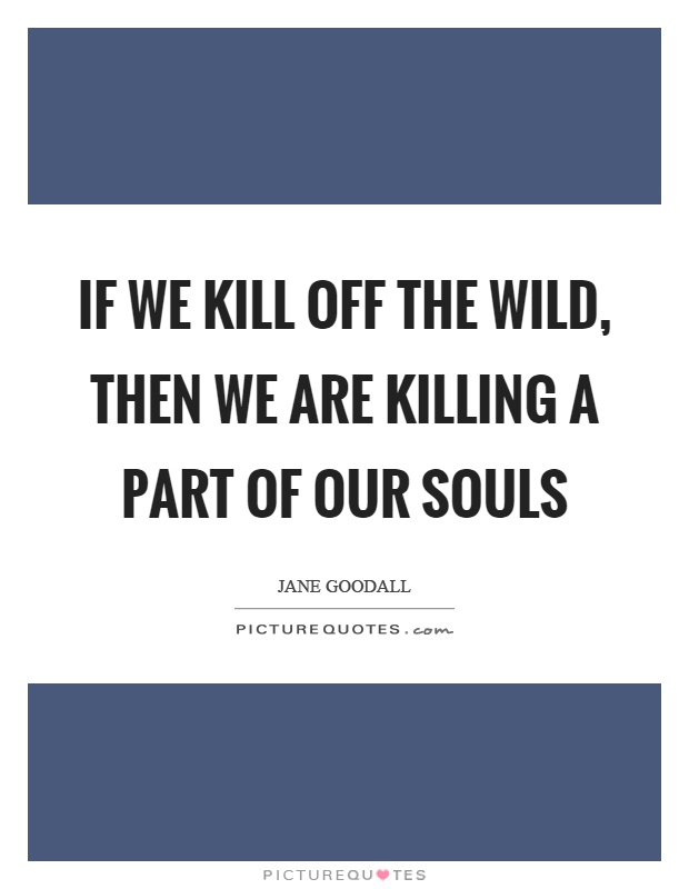 If we kill off the wild, then we are killing a part of our souls Picture Quote #1