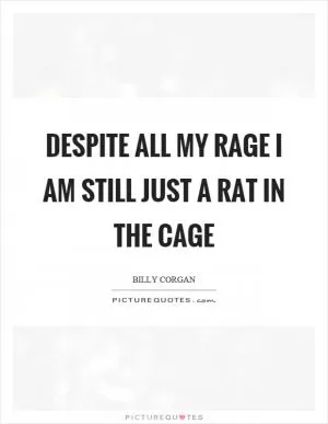 Despite all my rage I am still just a rat in the cage Picture Quote #1