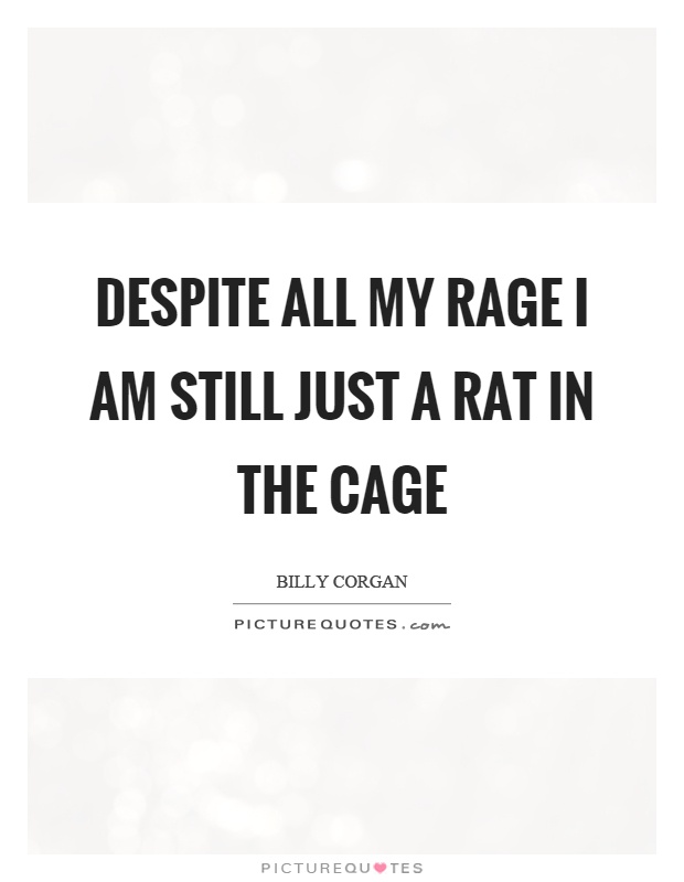 Despite all my rage I am still just a rat in the cage Picture Quote #1