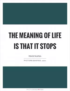 The meaning of life is that it stops Picture Quote #1