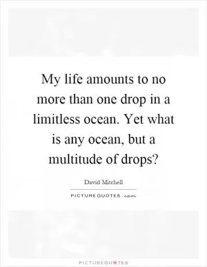 My life amounts to no more than one drop in a limitless ocean. Yet what is any ocean, but a multitude of drops? Picture Quote #1
