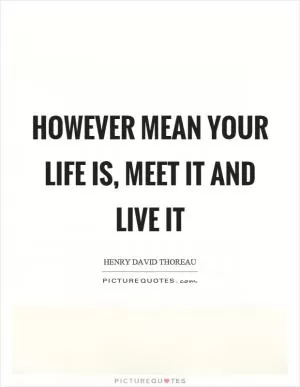 However mean your life is, meet it and live it Picture Quote #1