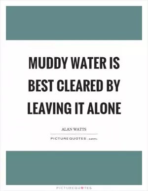 Muddy water is best cleared by leaving it alone Picture Quote #1
