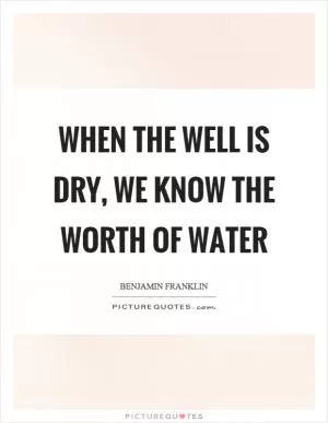 When the well is dry, we know the worth of water Picture Quote #1