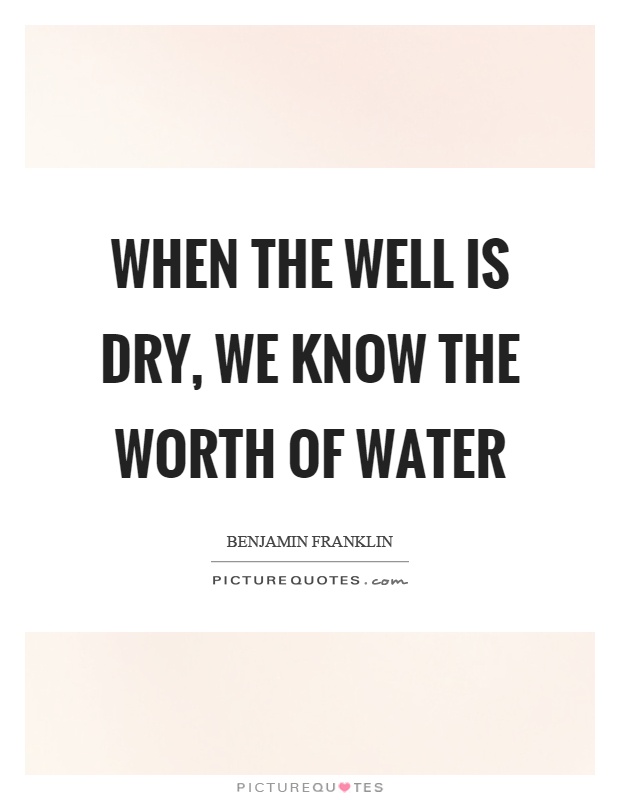 When the well is dry, we know the worth of water Picture Quote #1