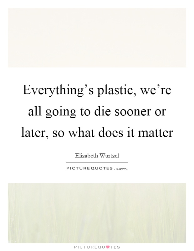 Everything's plastic, we're all going to die sooner or later, so what does it matter Picture Quote #1