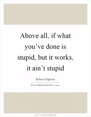 Above all, if what you’ve done is stupid, but it works, it ain’t stupid Picture Quote #1