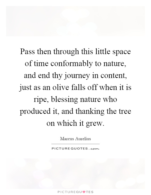 Pass then through this little space of time conformably to nature, and end thy journey in content, just as an olive falls off when it is ripe, blessing nature who produced it, and thanking the tree on which it grew Picture Quote #1