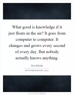 What good is knowledge if it just floats in the air? It goes from computer to computer. It changes and grows every second of every day. But nobody actually knows anything Picture Quote #1