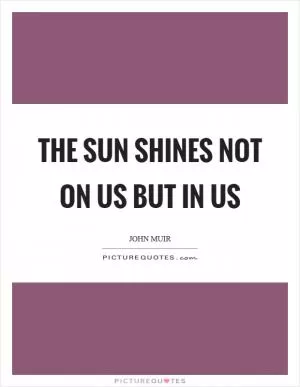 The sun shines not on us but in us Picture Quote #1