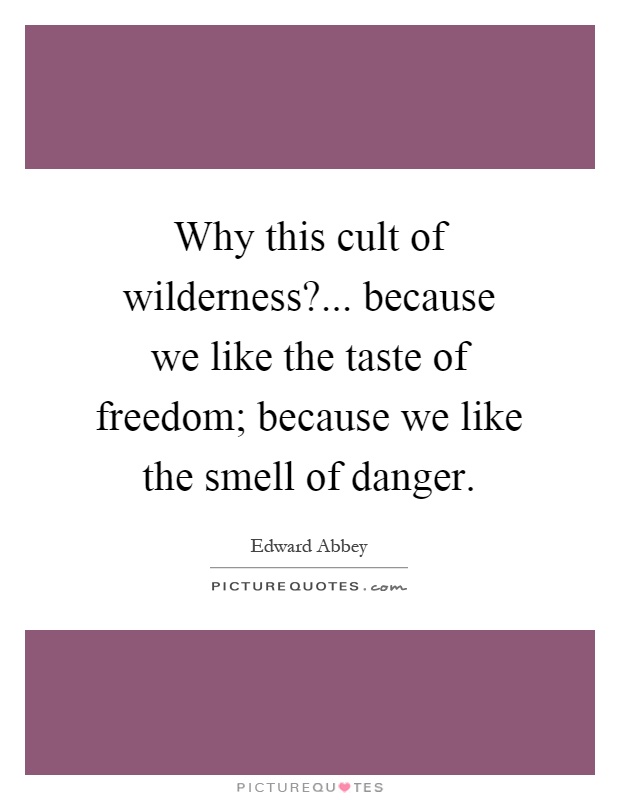Why this cult of wilderness?... because we like the taste of freedom; because we like the smell of danger Picture Quote #1