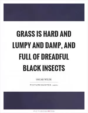 Grass is hard and lumpy and damp, and full of dreadful black insects Picture Quote #1