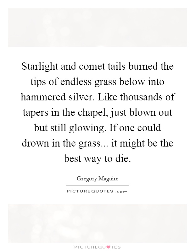 Starlight and comet tails burned the tips of endless grass below into hammered silver. Like thousands of tapers in the chapel, just blown out but still glowing. If one could drown in the grass... it might be the best way to die Picture Quote #1