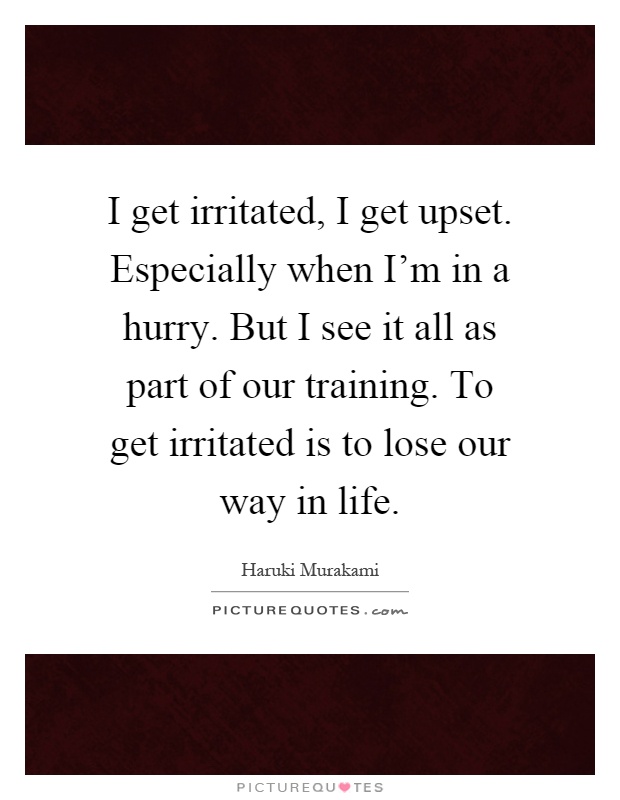 I get irritated, I get upset. Especially when I'm in a hurry. But I see it all as part of our training. To get irritated is to lose our way in life Picture Quote #1