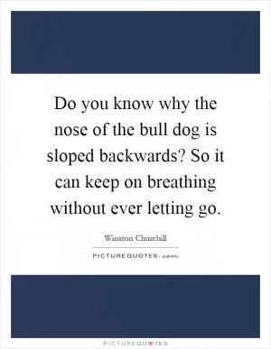 Do you know why the nose of the bull dog is sloped backwards? So it can keep on breathing without ever letting go Picture Quote #1