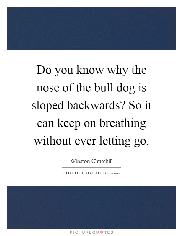 Do you know why the nose of the bull dog is sloped backwards? So it can keep on breathing without ever letting go Picture Quote #1