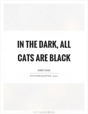 In the dark, all cats are black Picture Quote #1