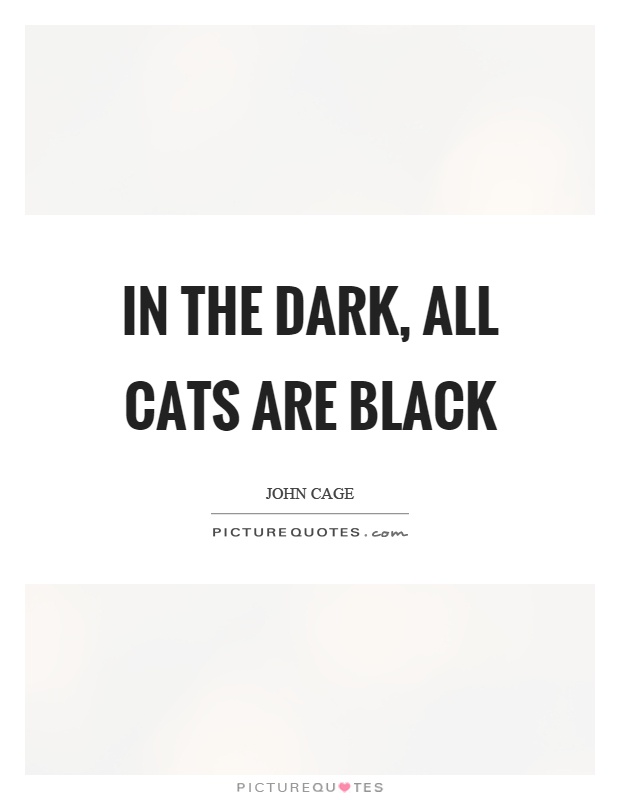 In the dark, all cats are black Picture Quote #1