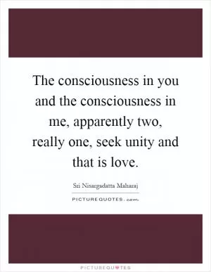 The consciousness in you and the consciousness in me, apparently two, really one, seek unity and that is love Picture Quote #1