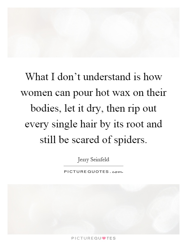 What I don't understand is how women can pour hot wax on their bodies, let it dry, then rip out every single hair by its root and still be scared of spiders Picture Quote #1