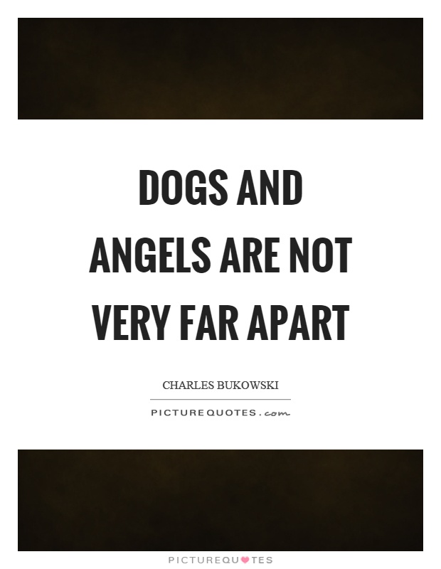 Dogs and angels are not very far apart Picture Quote #1