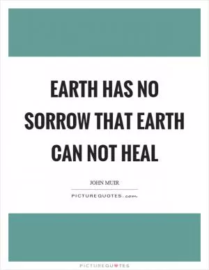 Earth has no sorrow that earth can not heal Picture Quote #1
