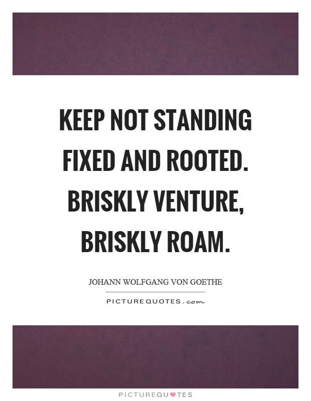 Keep not standing fixed and rooted. Briskly venture, briskly roam Picture Quote #1