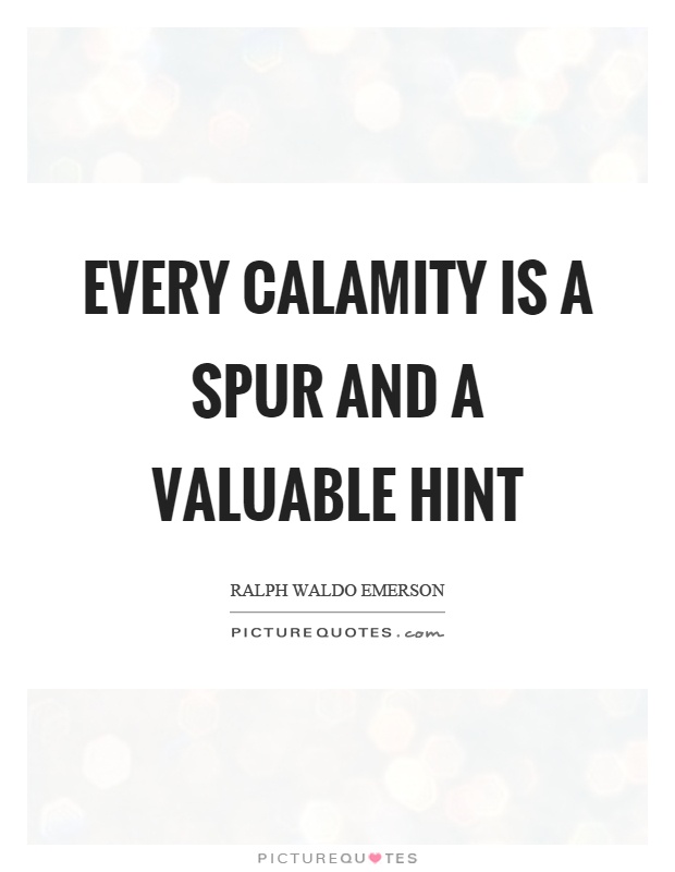 Every calamity is a spur and a valuable hint Picture Quote #1