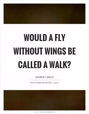 Would a fly without wings be called a walk? Picture Quote #1