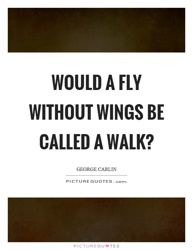 Would a fly without wings be called a walk? Picture Quote #1