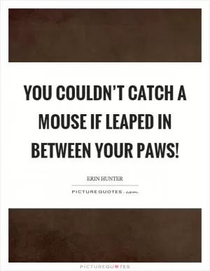 You couldn’t catch a mouse if leaped in between your paws! Picture Quote #1