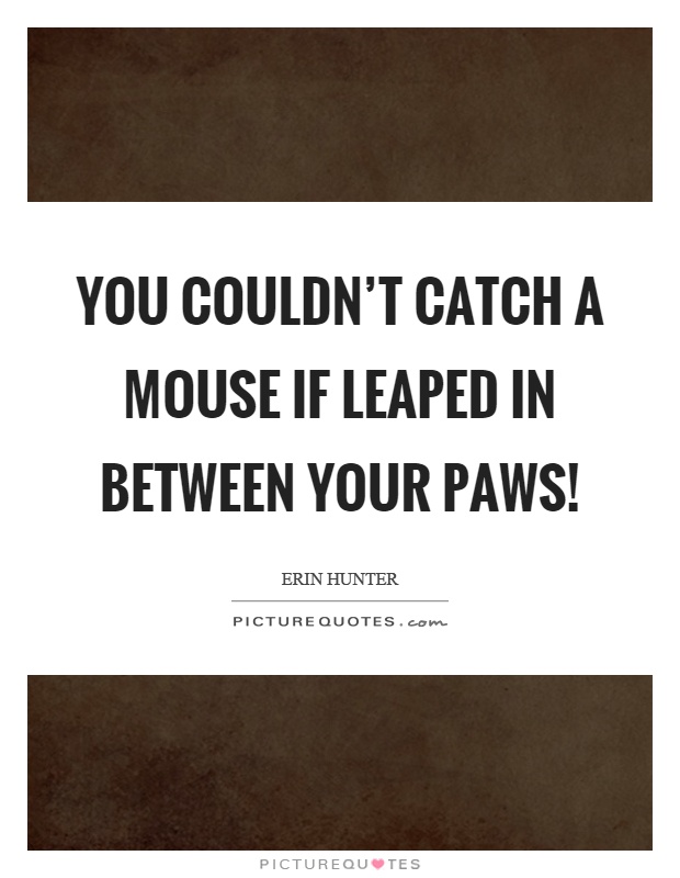 You couldn't catch a mouse if leaped in between your paws! Picture Quote #1