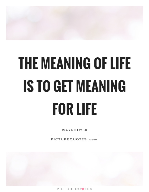 The meaning of life is to get meaning for life Picture Quote #1