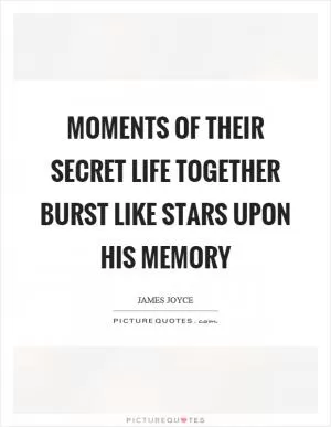 Moments of their secret life together burst like stars upon his memory Picture Quote #1