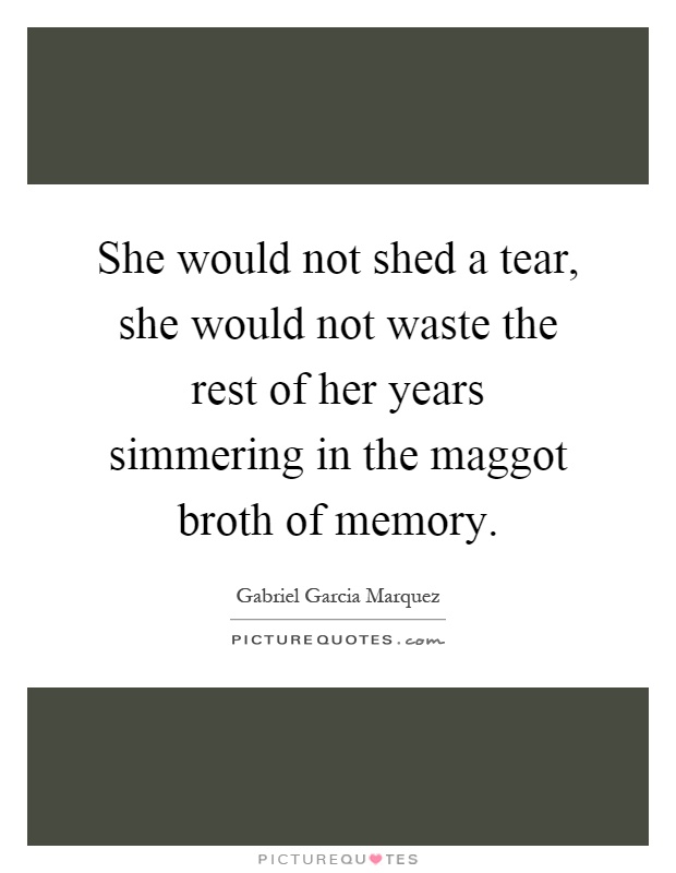 She would not shed a tear, she would not waste the rest of her years simmering in the maggot broth of memory Picture Quote #1